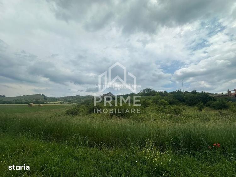 Teren Intravilan 1.493 mp| toate utilitatile| zona Teleac