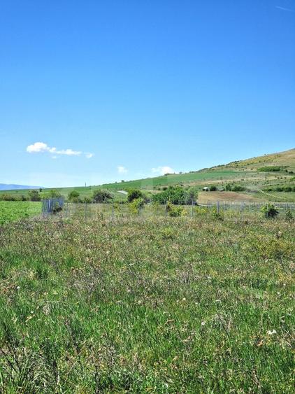 Teren agricol extravilan de 1000 mp, în Florești
