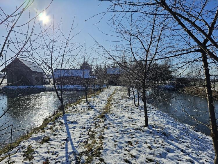 Casă individuală cu 6 camere cu Canalizare în Brădet