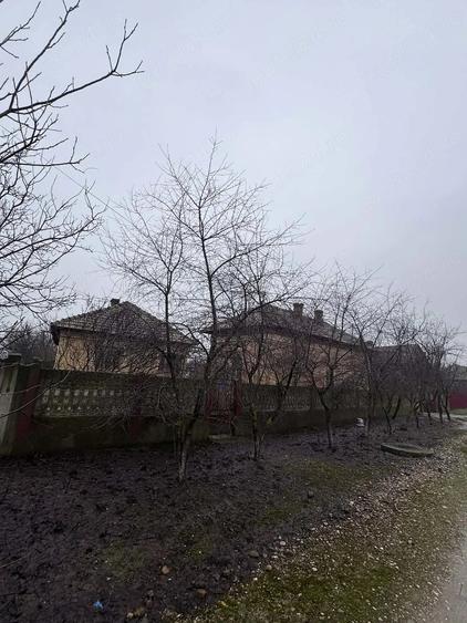 Casă cu Teren 2500 Mp în Central