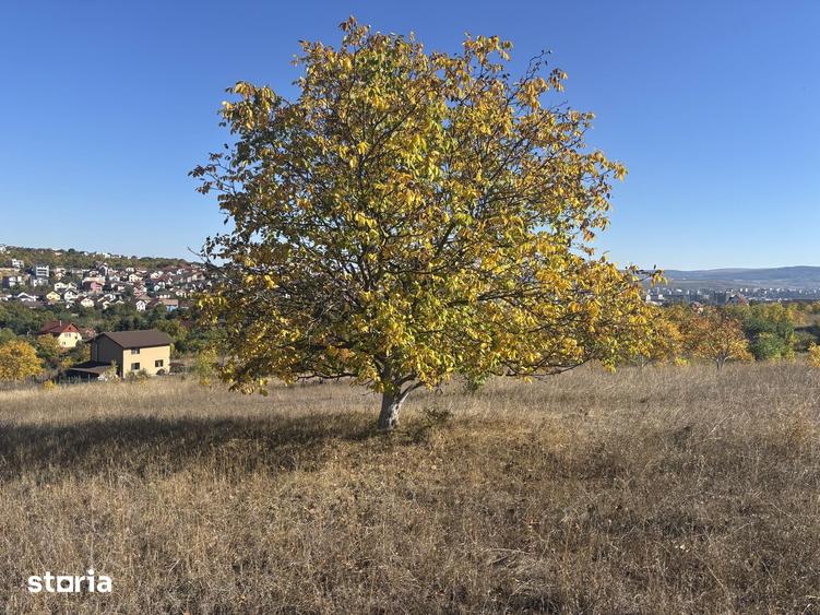 Teren de 526 mp, în Dâmbul Rotund