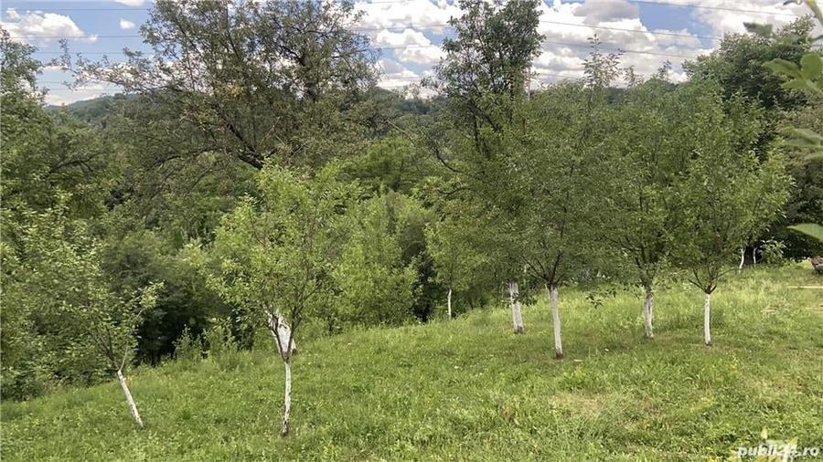 Teren de 1359 mp, în Nistorești