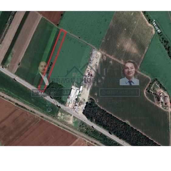 Teren agricol extravilan de 5000 mp, în Nord