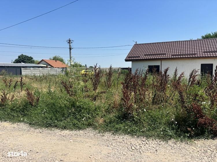 Casă cu 2 camere în Cernica