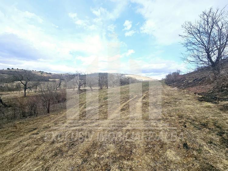 Teren Construcții intravilan de 12211 mp, în Geoagiu de Sus