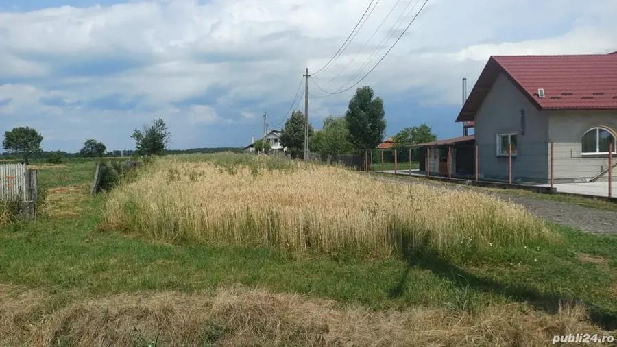 Teren de 3960 mp, în Crucișoara