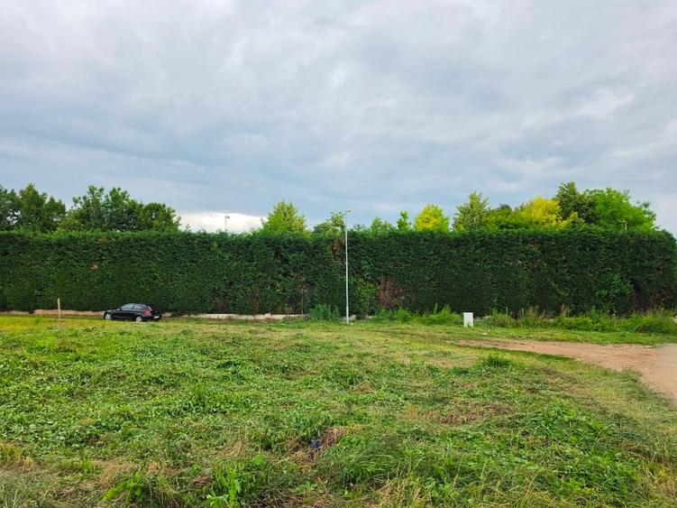 Teren Construcții intravilan de 600 mp, în Micești