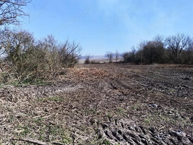 Teren de 2583 mp, în Comeat