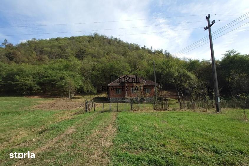 Casă cu 4 camere cu Teren 9563 Mp în Ribița