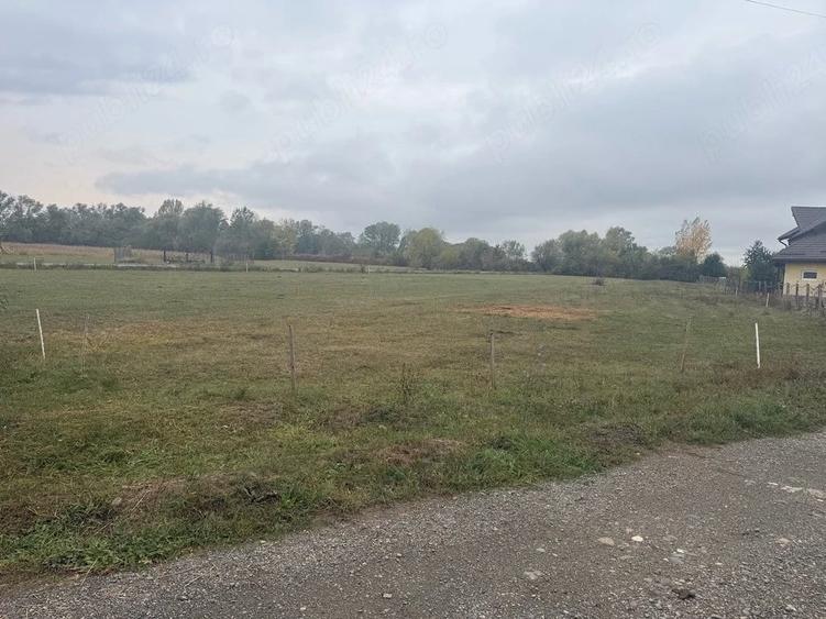 Teren de 1681 mp, în Chechiș