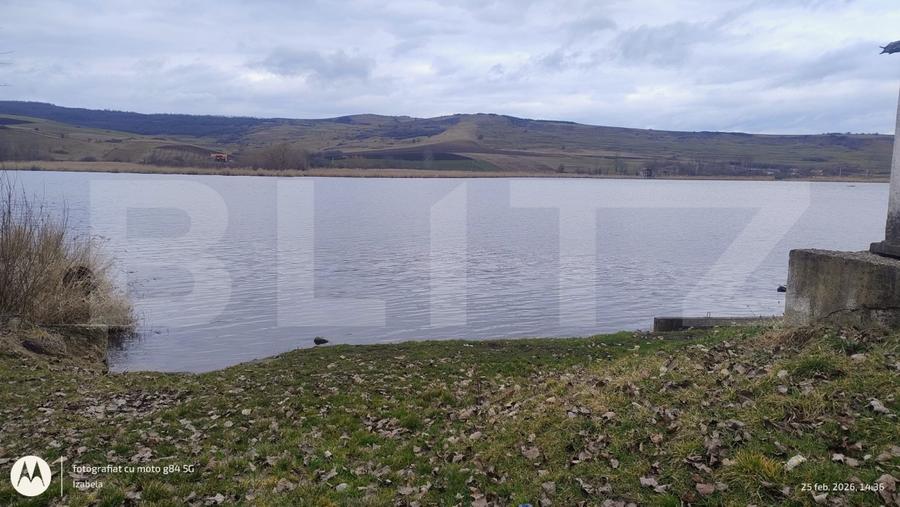 Oportunitate investițională-Proprietate cu lac privat in Geaca - 4