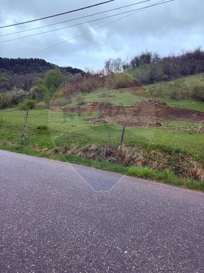 Teren de 4780 mp, în Vad