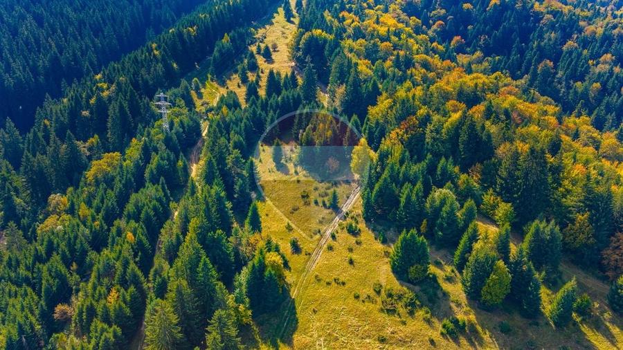 Teren Construcții intravilan de 2400 mp, în Timișu de Jos