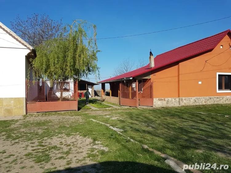 Casă cu 3 camere cu Teren 581 Mp în Grabaț