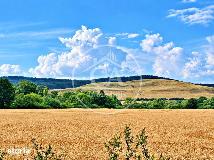 Teren de 500 mp, în Podgoria