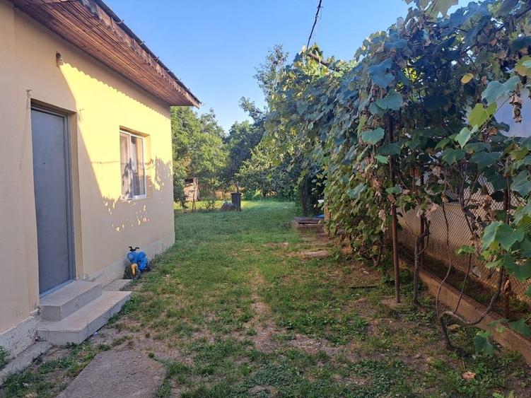 Casă cu 3 camere în Bolintin-Deal
