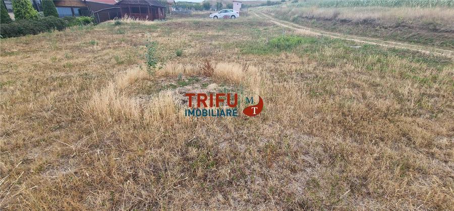 Teren Construcții intravilan de 669 mp, în Șeușa