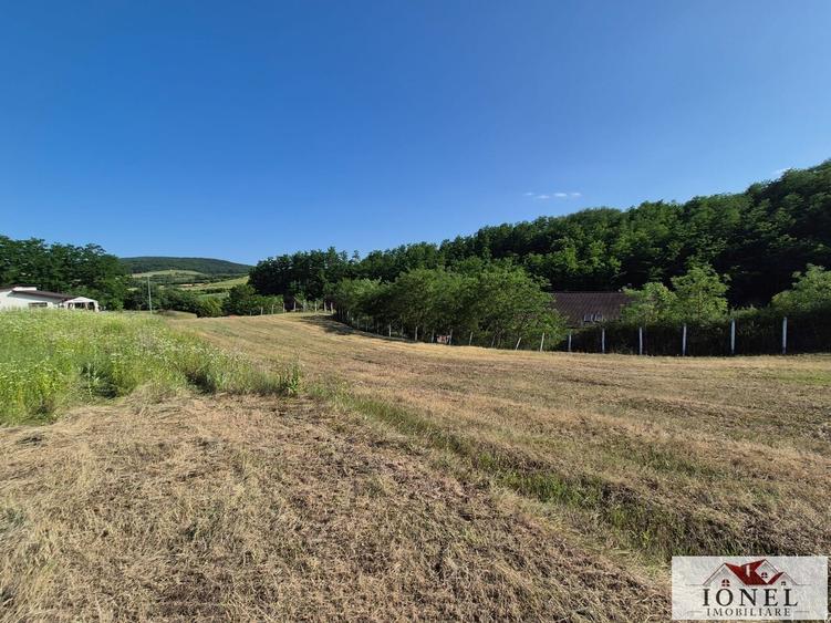 Teren Construcții intravilan de 1052 mp, în Ciugud