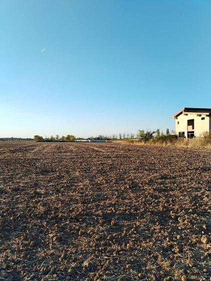 Teren Construcții intravilan de 5000 mp, în Ciolpani