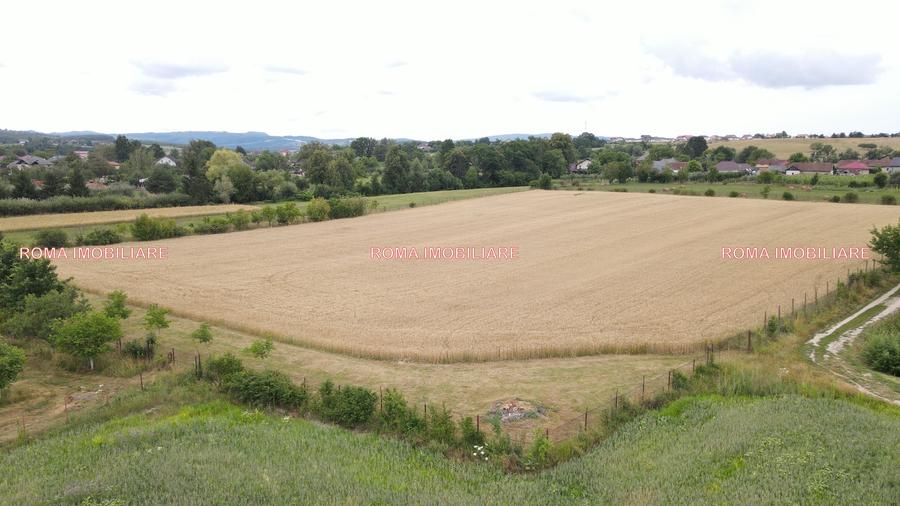 TEREN INTRAVILAN DE VÂNZARE – ȘOMCUTA MARE, MARAMUREȘ - 5