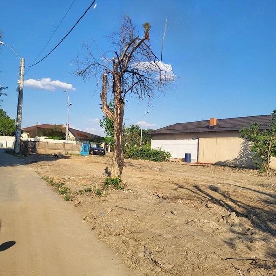 Vand teren in Com. Vidra,Sat.Sintesti, str, Principala. - 5