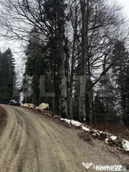 Teren de 4000 mp, în Calea Moroieni