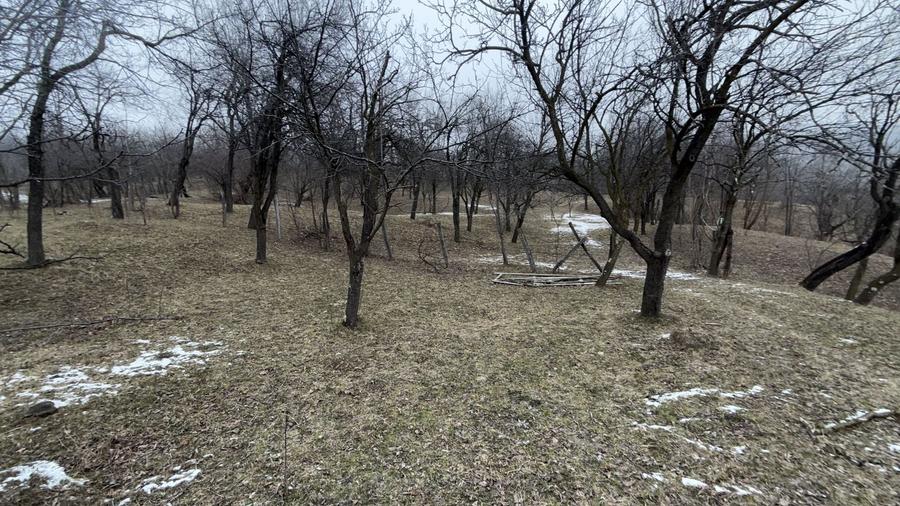 Teren Construcții intravilan de 4652 mp, în Lunca Mare