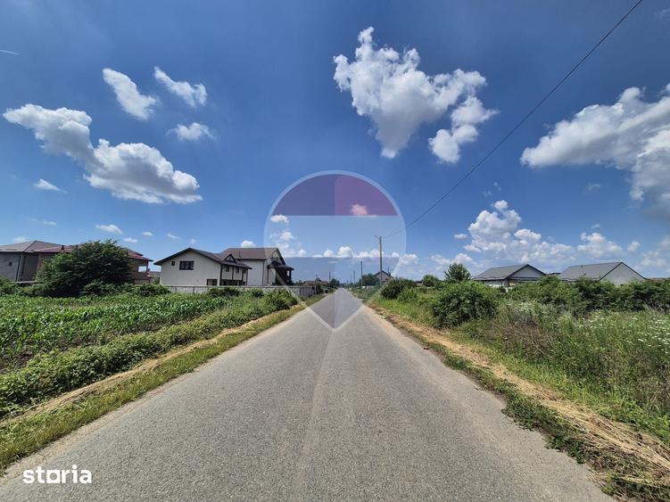 Teren intravilan de vanzare 4.087 mp Clinceni Olteni Ilfov - 2