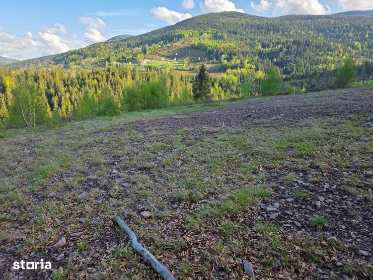 Teren de 6000 mp, în Arieșeni