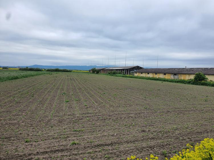 Teren Construcții intravilan de 11000 mp, în Nord-Vest