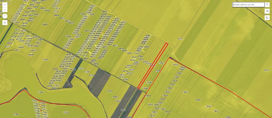 Teren agricol extravilan de 10000 mp, în Berceni