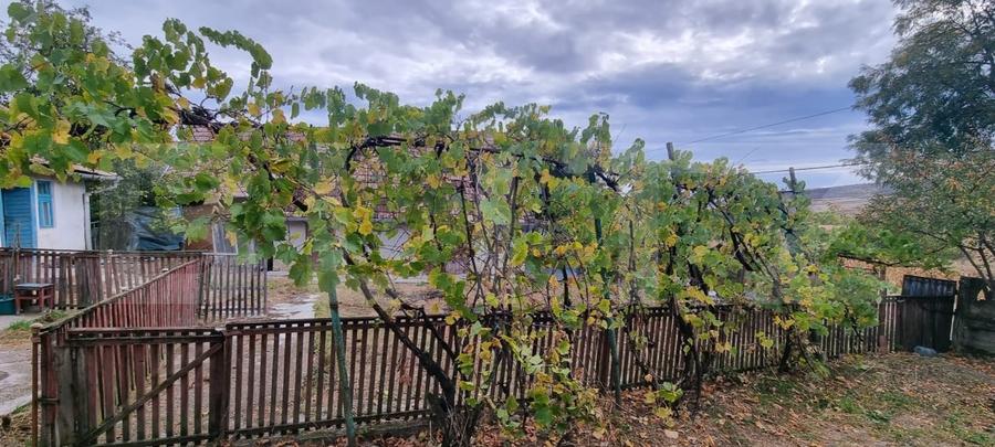 Casă individuală cu 3 camere cu Canalizare în Boian