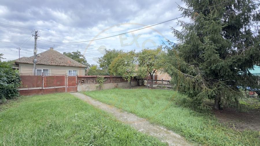 Casă individuală cu 3 camere cu Teren 3263 Mp în Carei