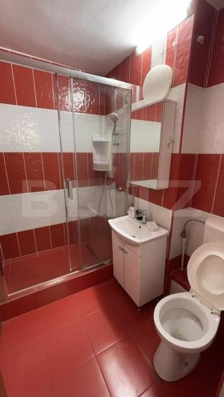Inchiriere apartament 2 camere, 52 mp, zona Centrala - 7