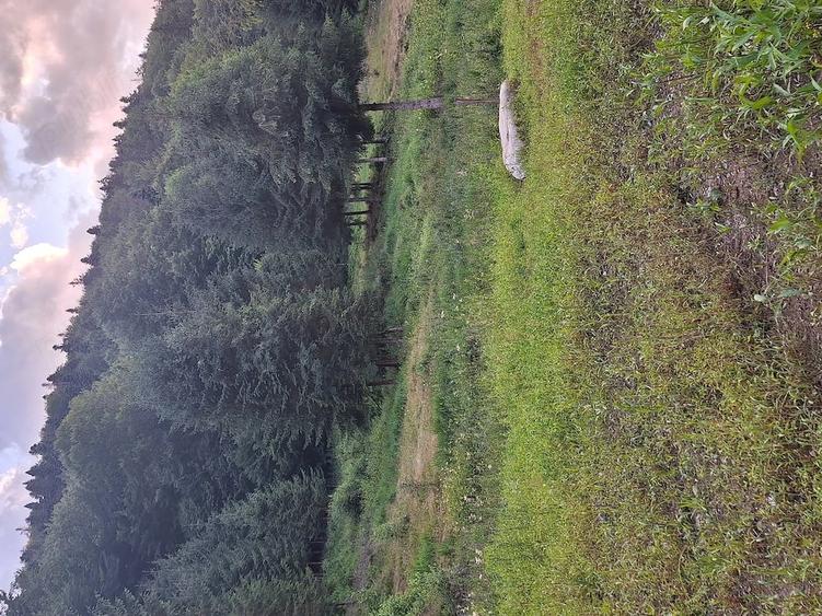 Teren de vanzare in zona de munte - 4