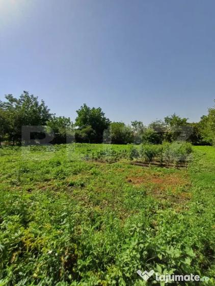 Casă cu 4 camere cu Teren 1860 Mp în Câmpia Turzii
