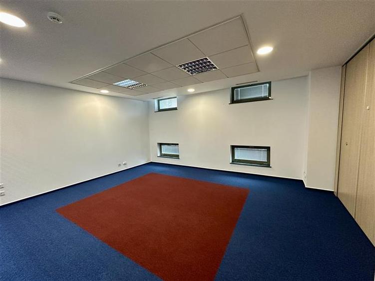 Birou, de 260 mp, în Romană