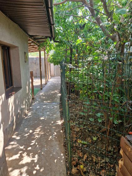 Casă cu 2 camere cu Teren 173 Mp în Est