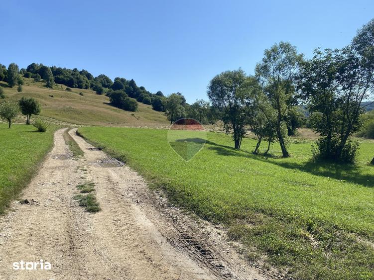Teren de 4306 mp, în Vama Buzăului