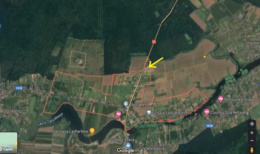 Teren Construcții intravilan de 5000 mp, în Tâncăbești