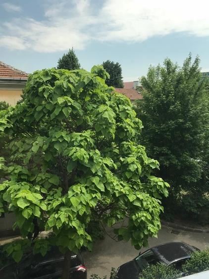 Apartament semidecomandat în Est