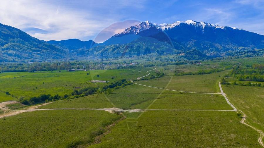 Teren agricol extravilan de 13800 mp, în Glăjărie