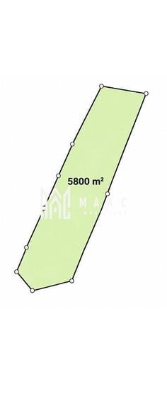 Teren agricol extravilan de 5800 mp, în Daia