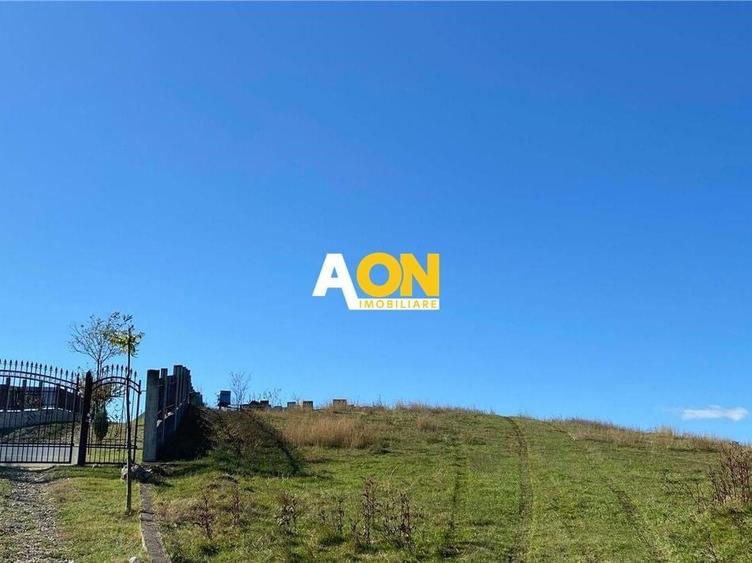 Teren Construcții intravilan de 7600 mp, în Pâclișa
