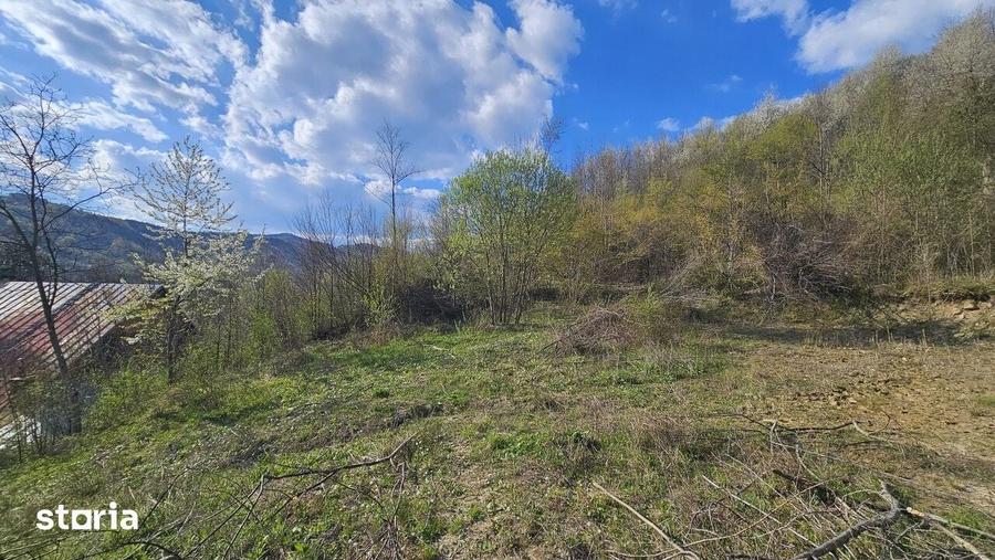 Teren de 1800 mp, în Brebu