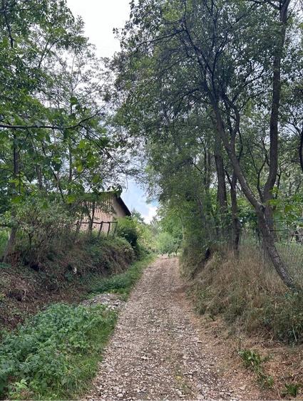 Teren de 5000 mp, în Corbi