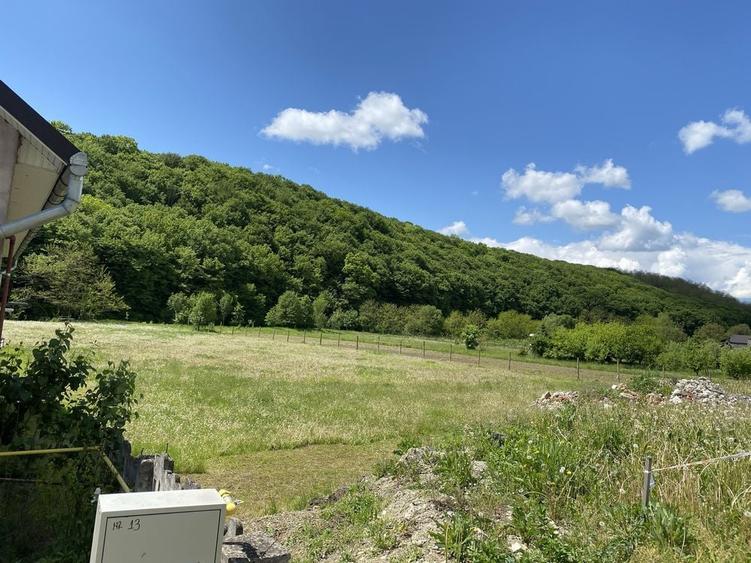 Teren de 4000 mp, în Codor