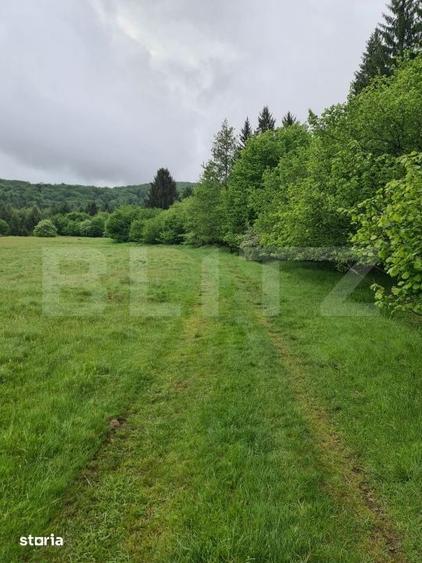 Teren de 7400 mp, în Centrul Istoric