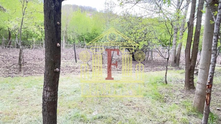 Teren Construcții intravilan de 3200 mp, în Rusenii Vechi