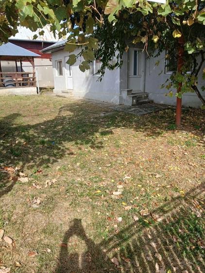 Casă cu 2 camere în Bănești